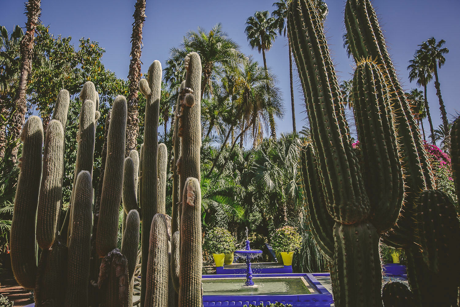 Foto Casal Cerutti em Marrakesh - Imagem 21