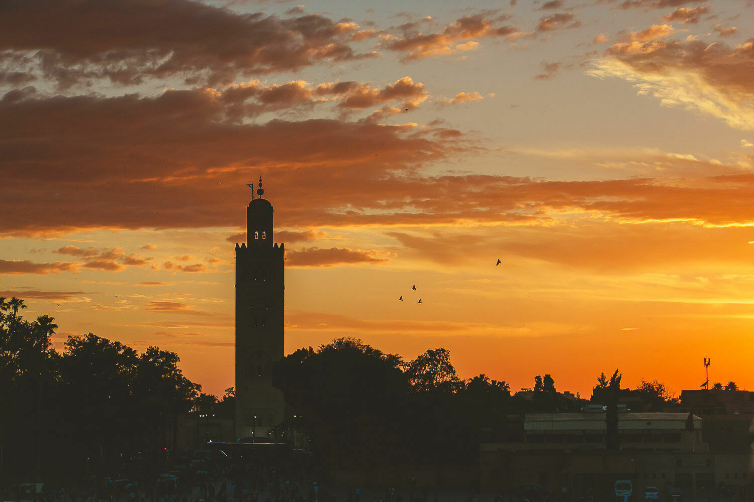 Foto Casal Cerutti em Marrakesh - Imagem 53