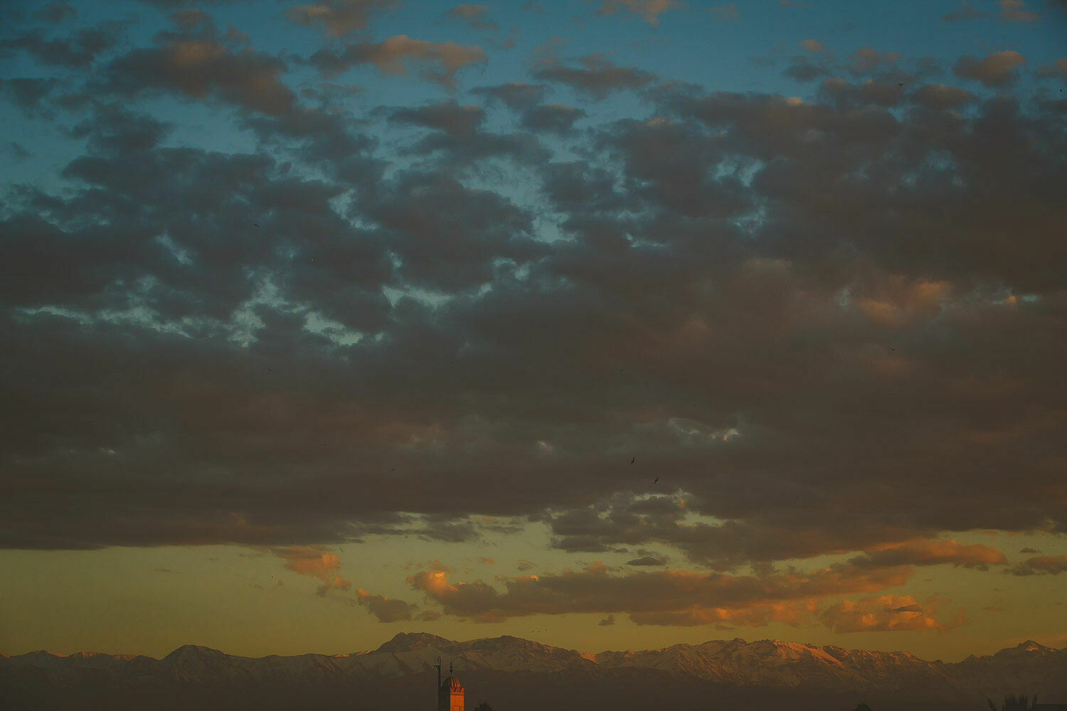Foto Casal Cerutti em Marrakesh - Imagem 48