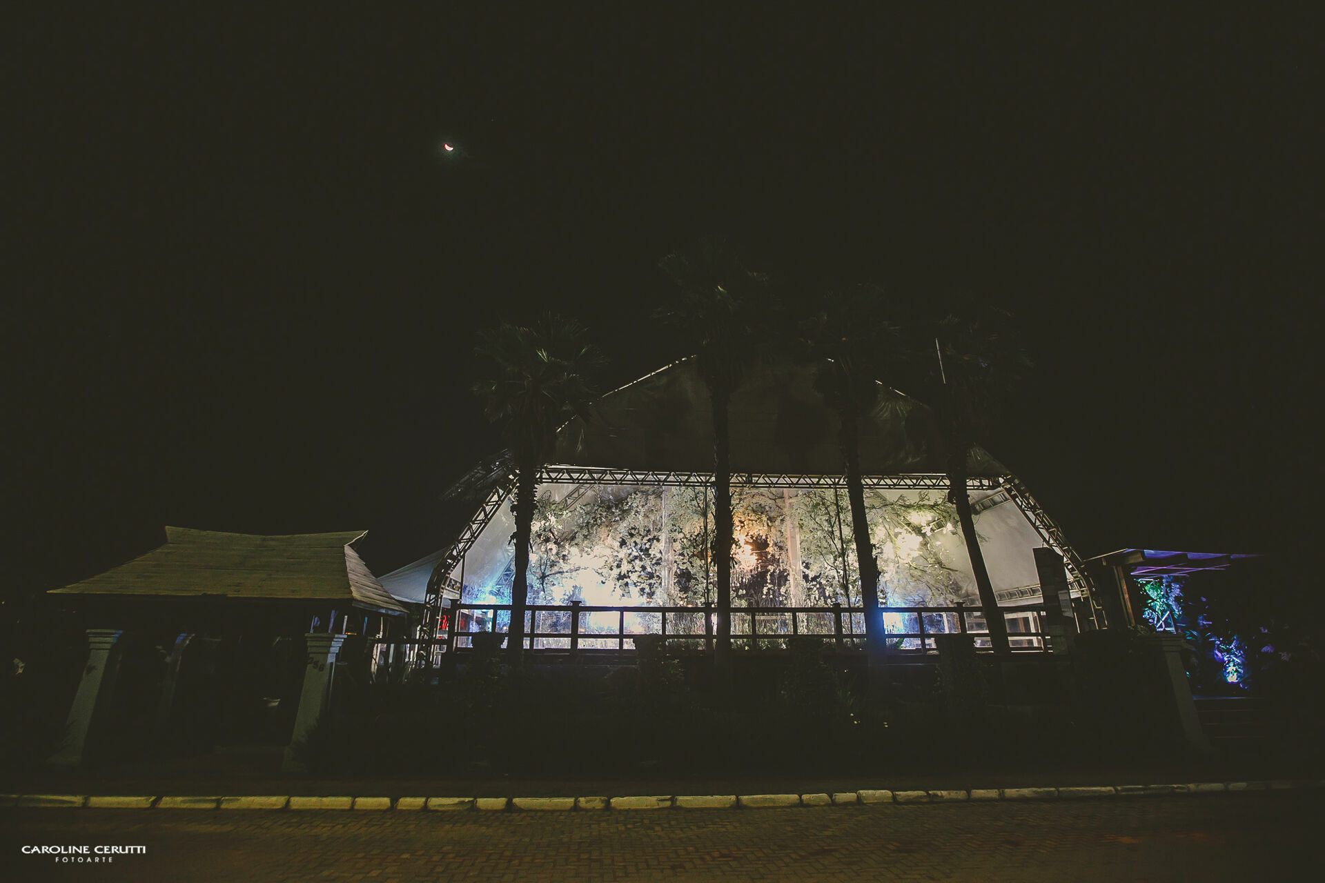 Foto Casamento Carina e Beto - Imagem 299