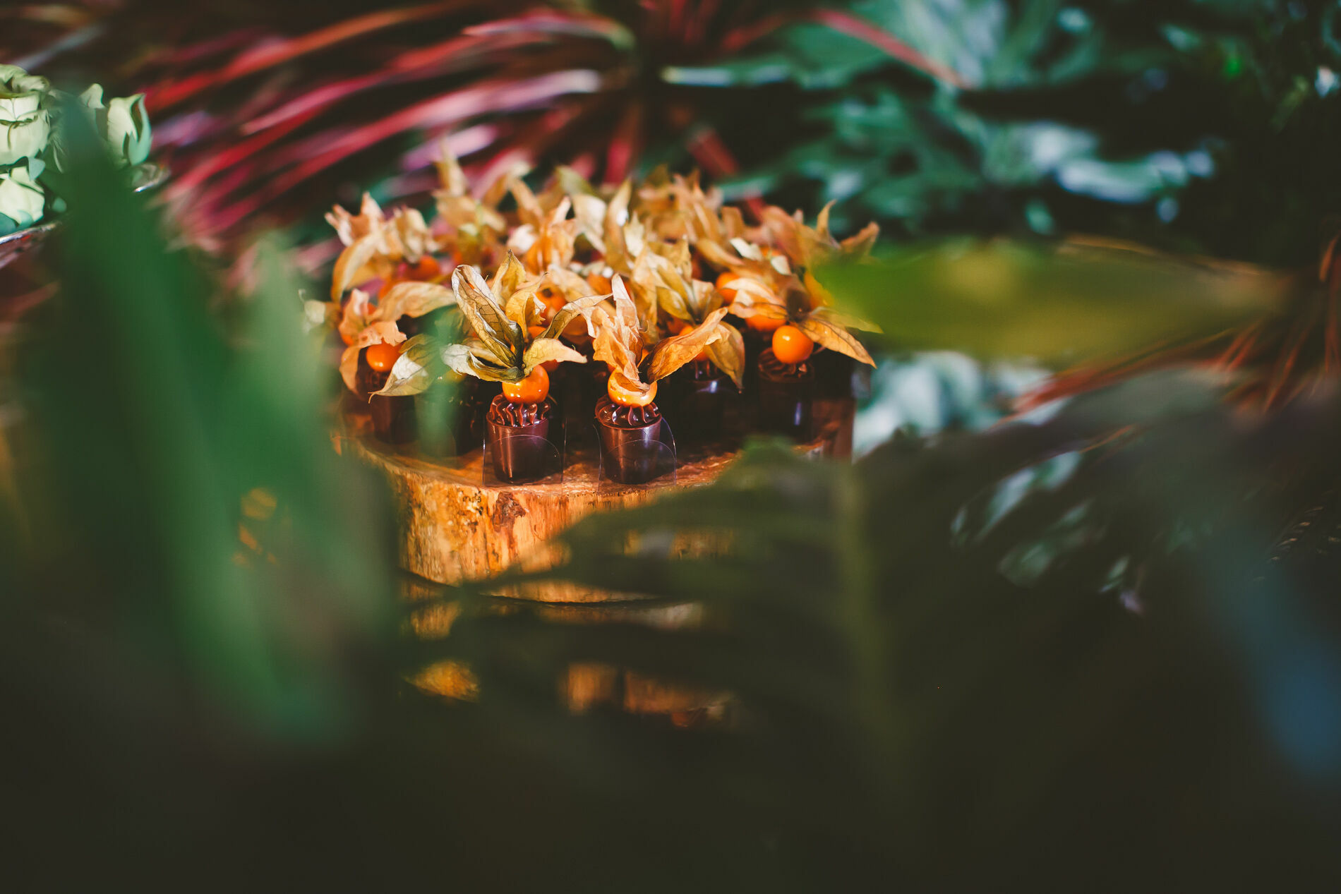 Foto Casamento Lisiane e Felipe - Imagem 92