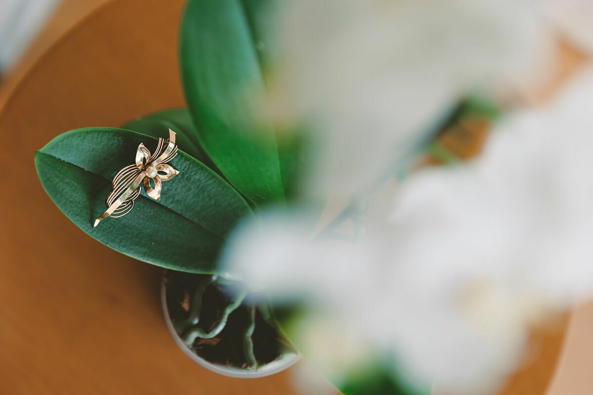 Foto Casamento na Praia do Rosa Brasil Tati e Jesse - Imagem 1