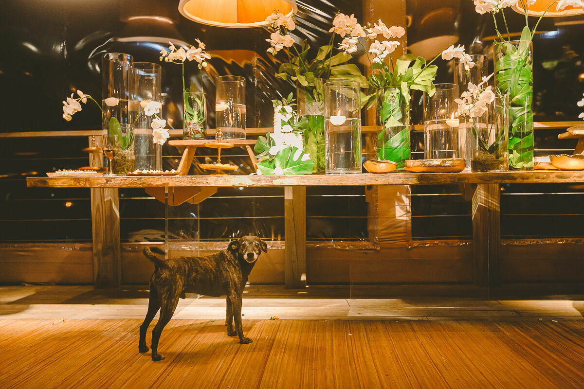 Foto Casamento na Praia do Rosa Brasil Tati e Jesse - Imagem 220