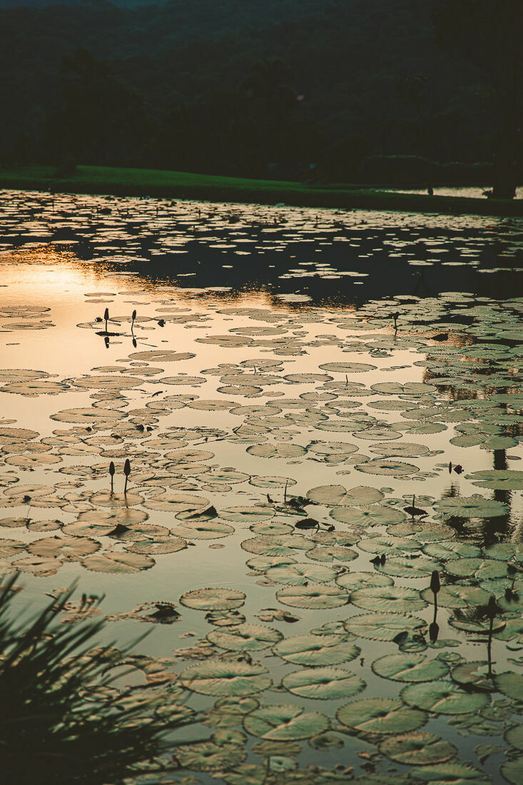 Foto Ensaio gestante vale dos ventos - Imagem 13