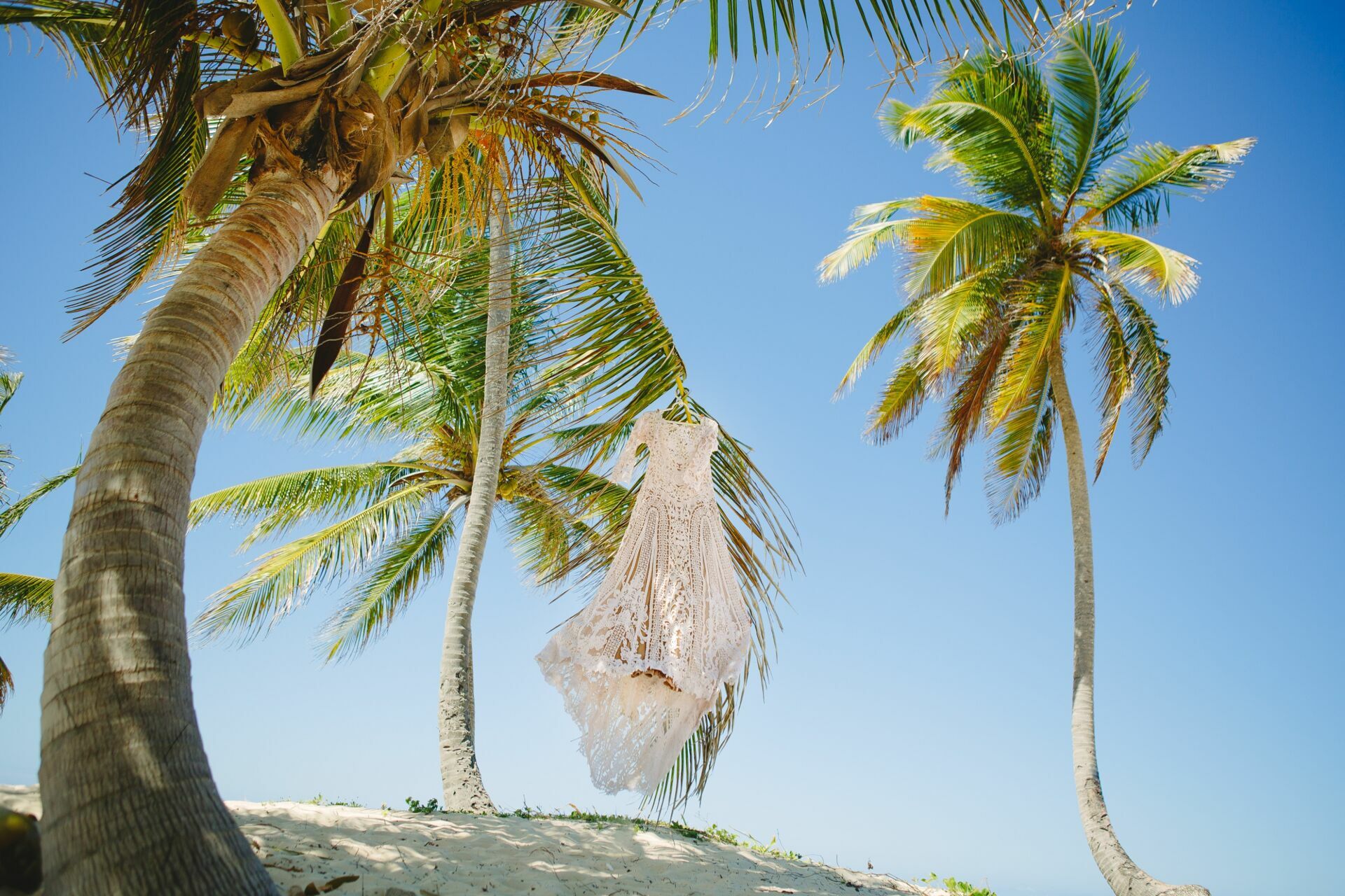 Foto Casamento Punta Cana - Ariana e Daniel - Imagem 0