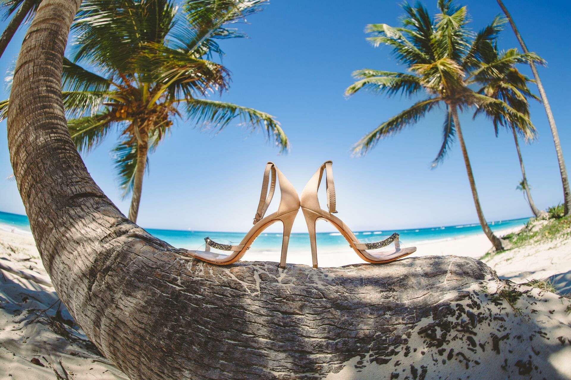 Foto Casamento Punta Cana - Ariana e Daniel - Imagem 1