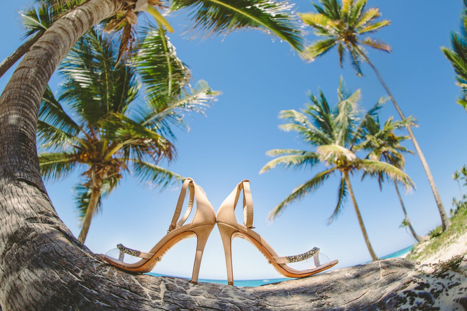 Foto Casamento Punta Cana - Ariana e Daniel - Imagem 2