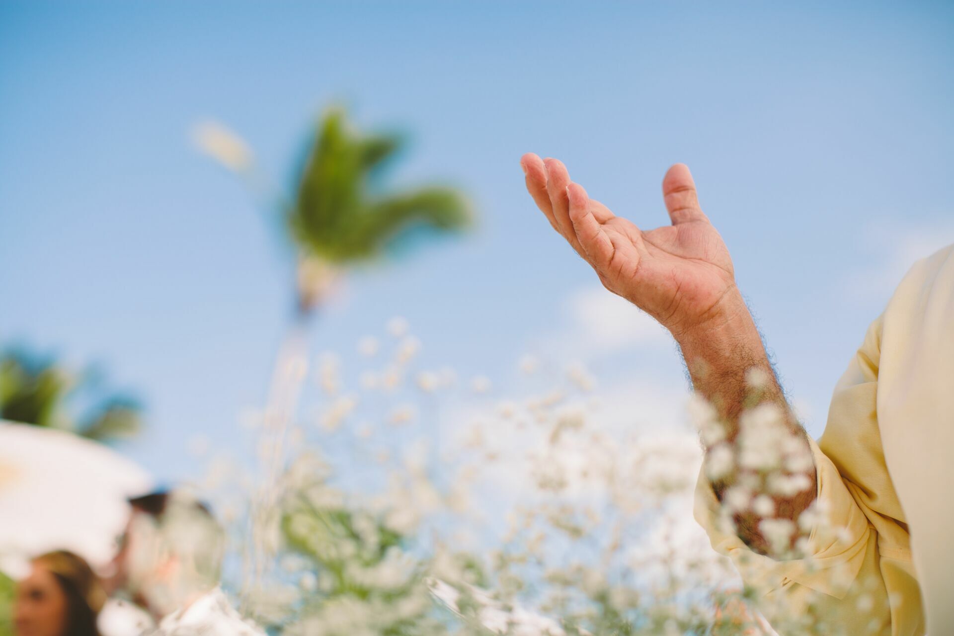Foto Casamento Punta Cana - Ariana e Daniel - Imagem 116