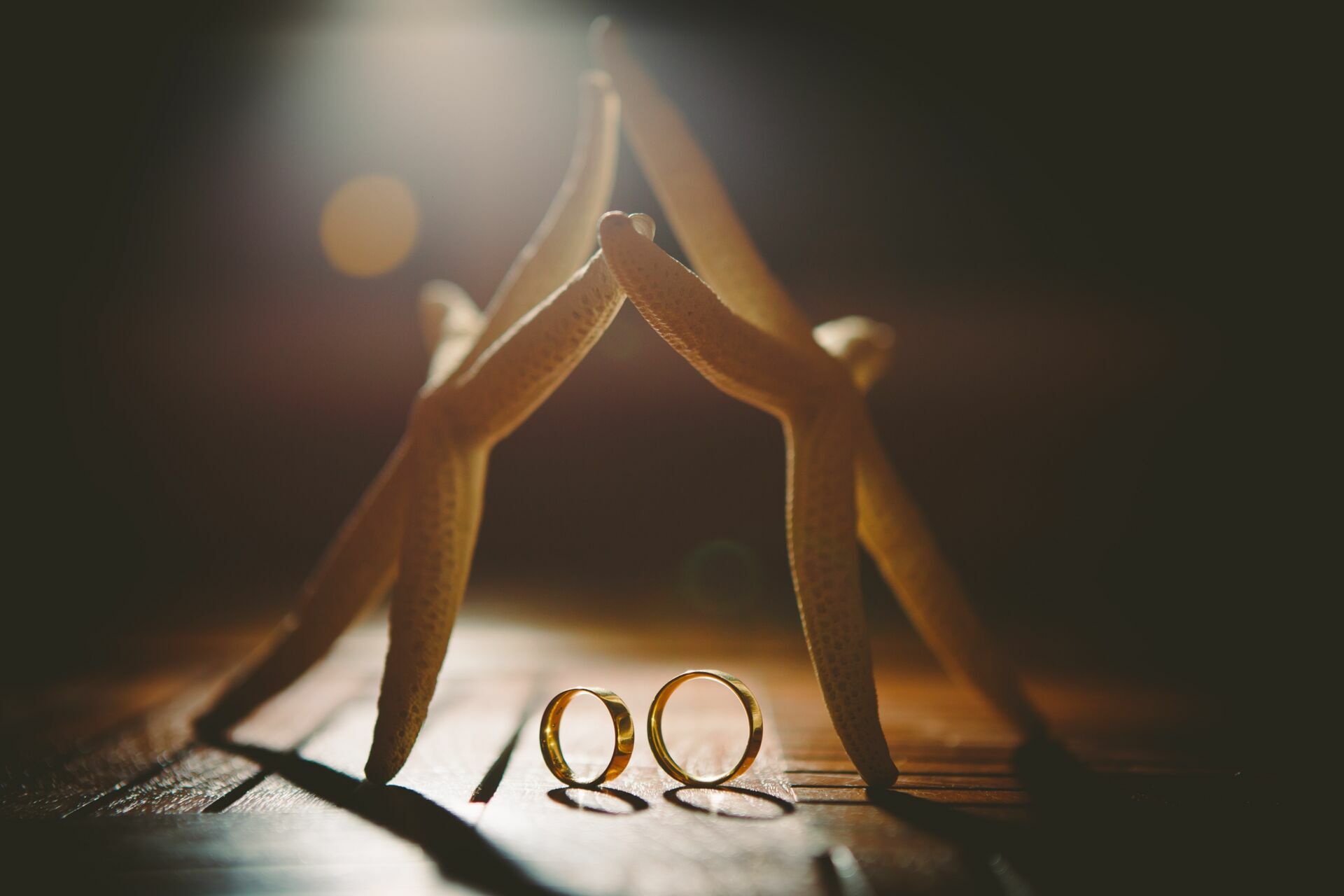 Foto Casamento Punta Cana - Ariana e Daniel - Imagem 204