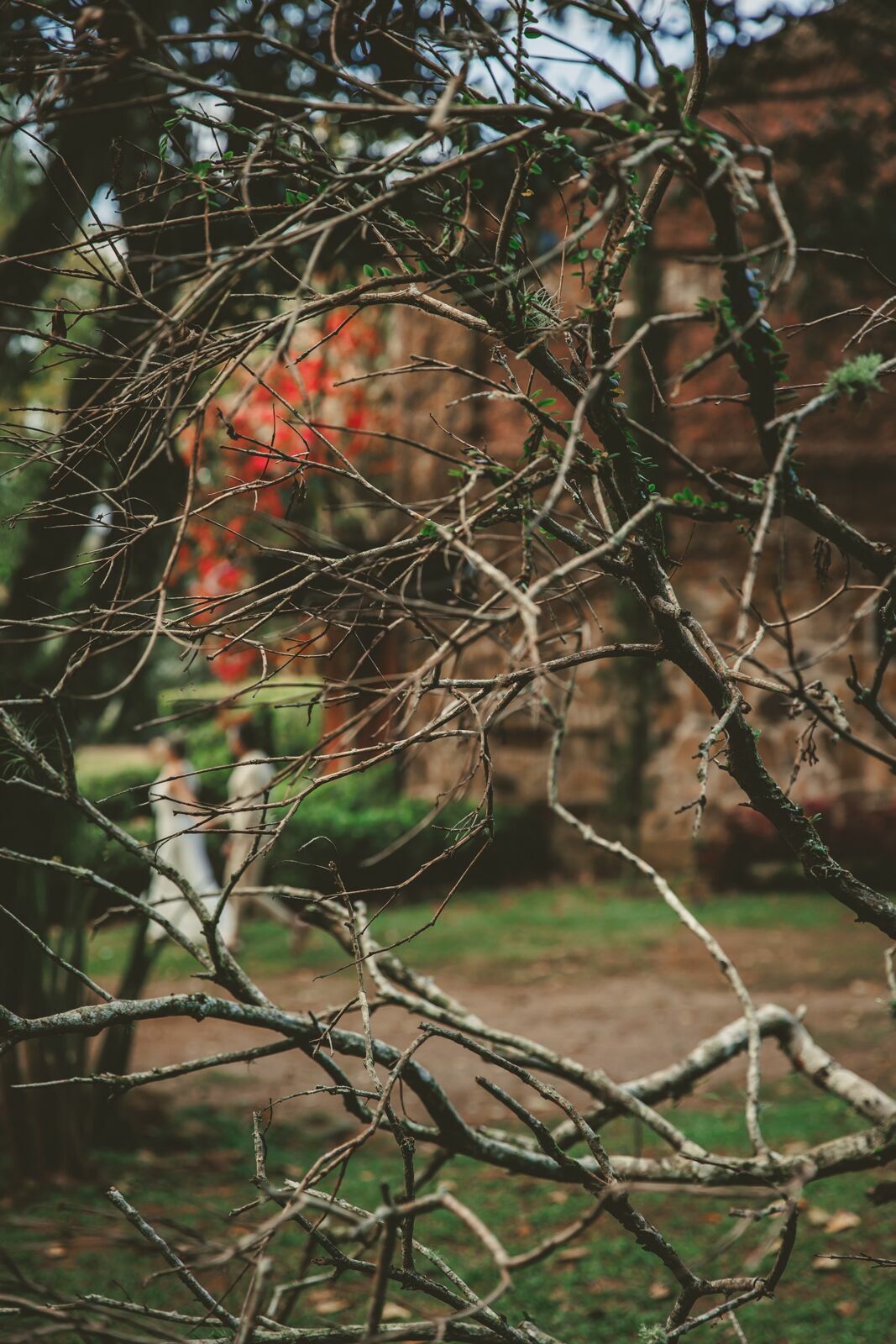 Foto Ensaio Casal Casa Maçico - Larissa e Mário - Imagem 42