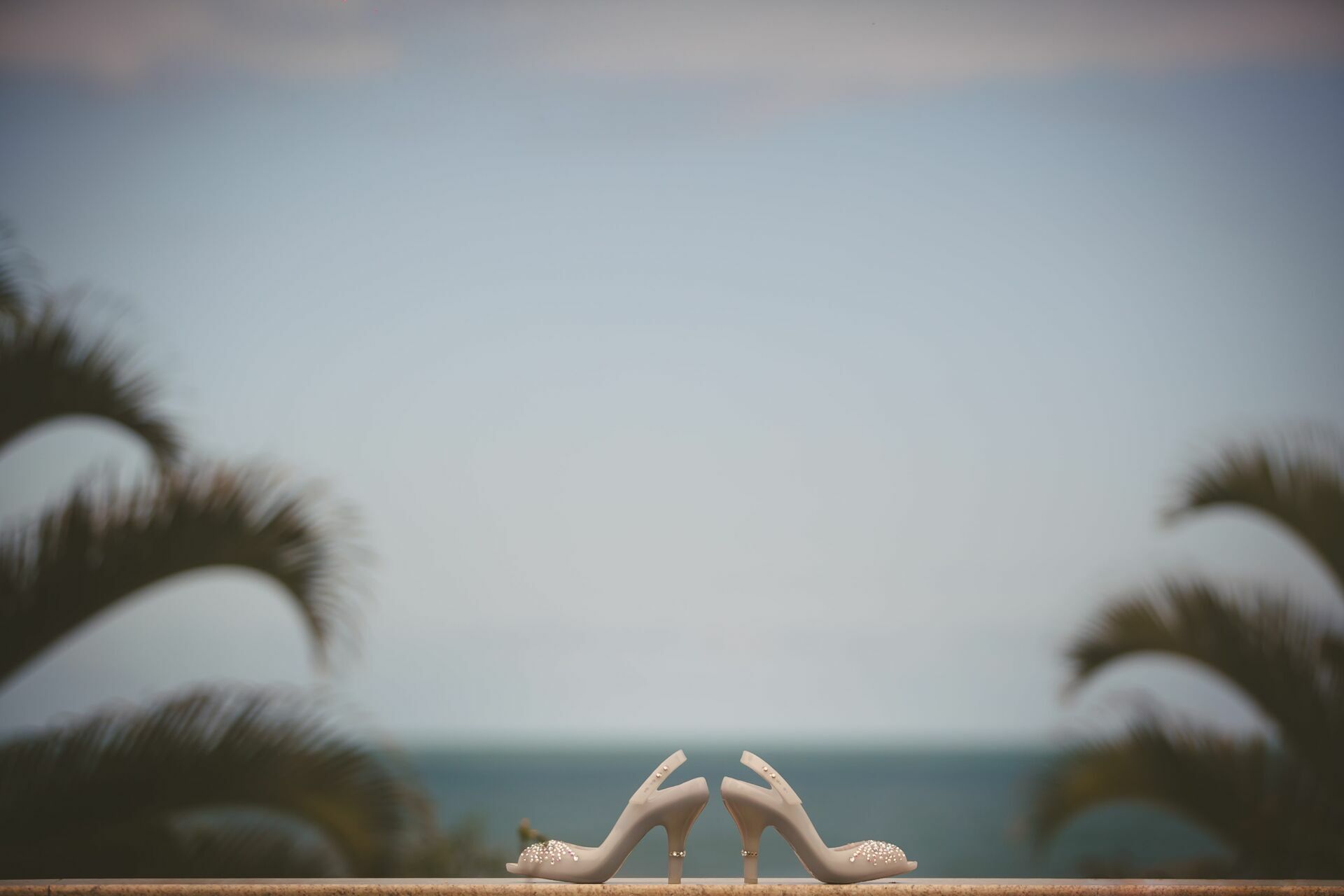 Foto Casamento Regi e Walter  - Imagem 13