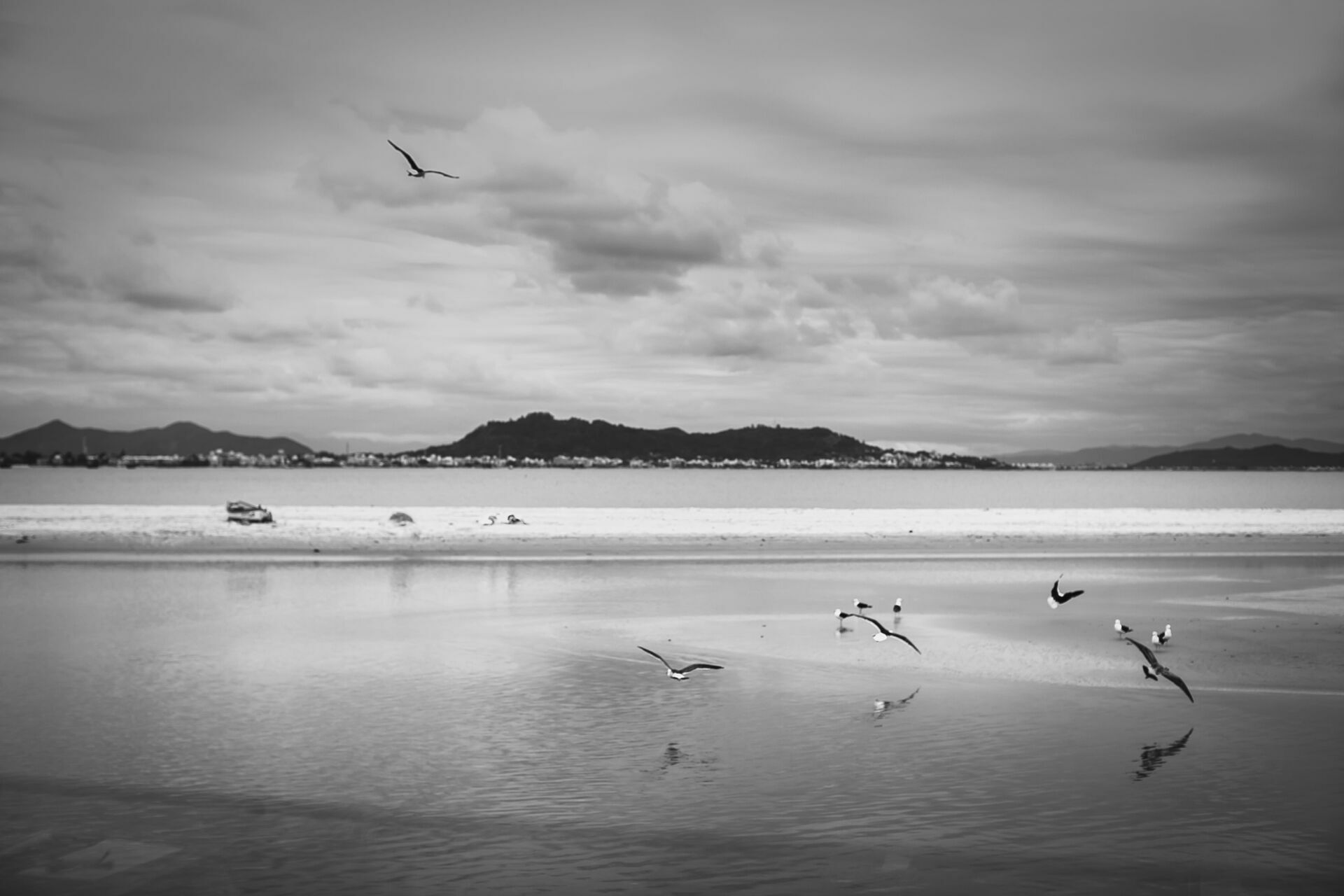 Foto Casamento Regi e Walter  - Imagem 152