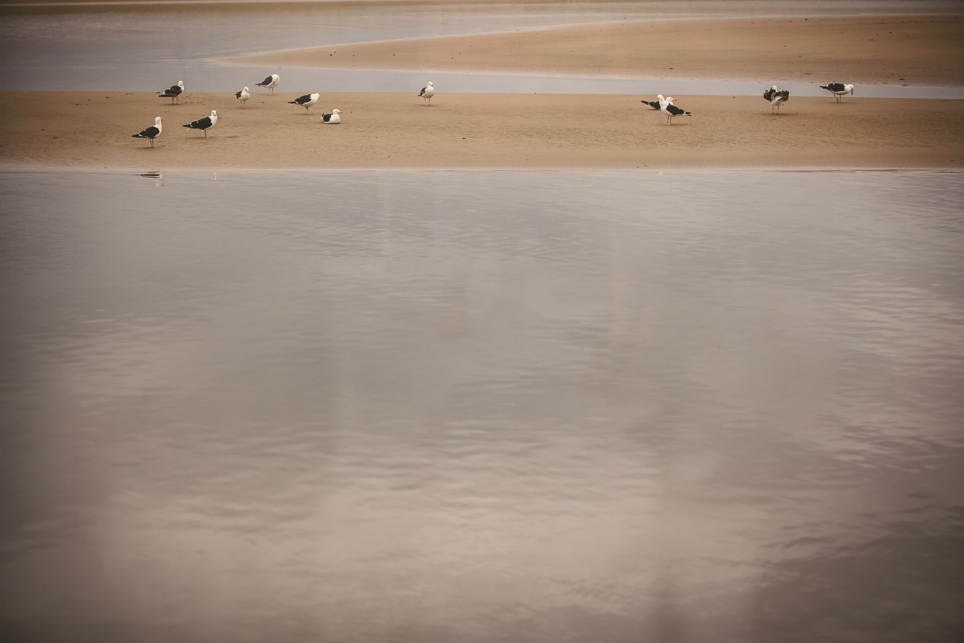 Foto Casamento Regi e Walter  - Imagem 178
