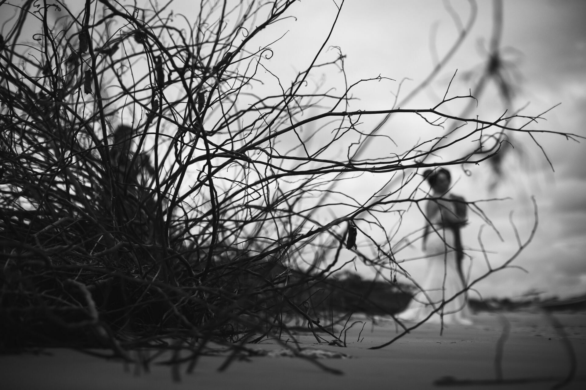 Foto Casamento Regi e Walter  - Imagem 202