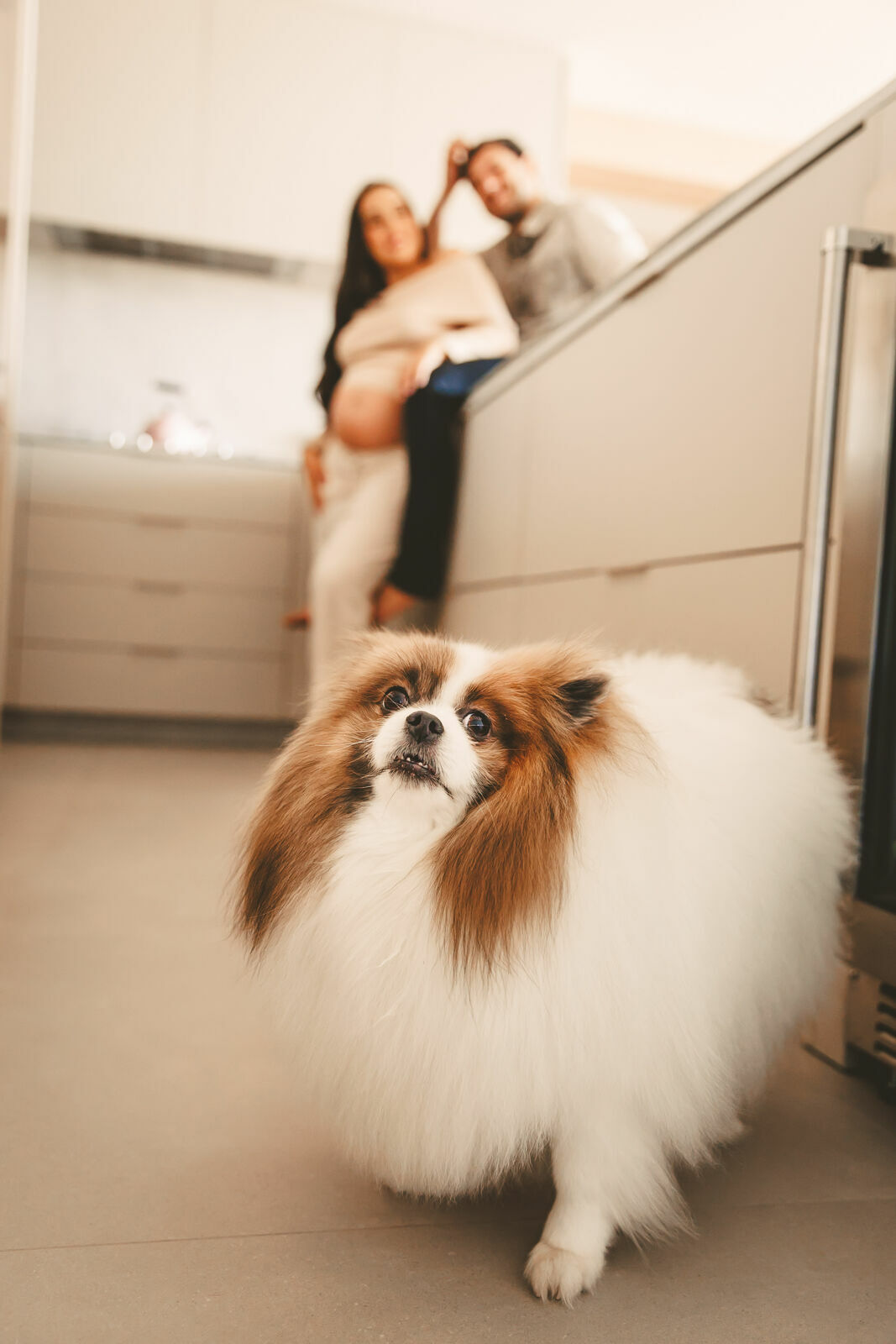 Foto Eve Gestante Foto Eve Gestante - Imagem 49