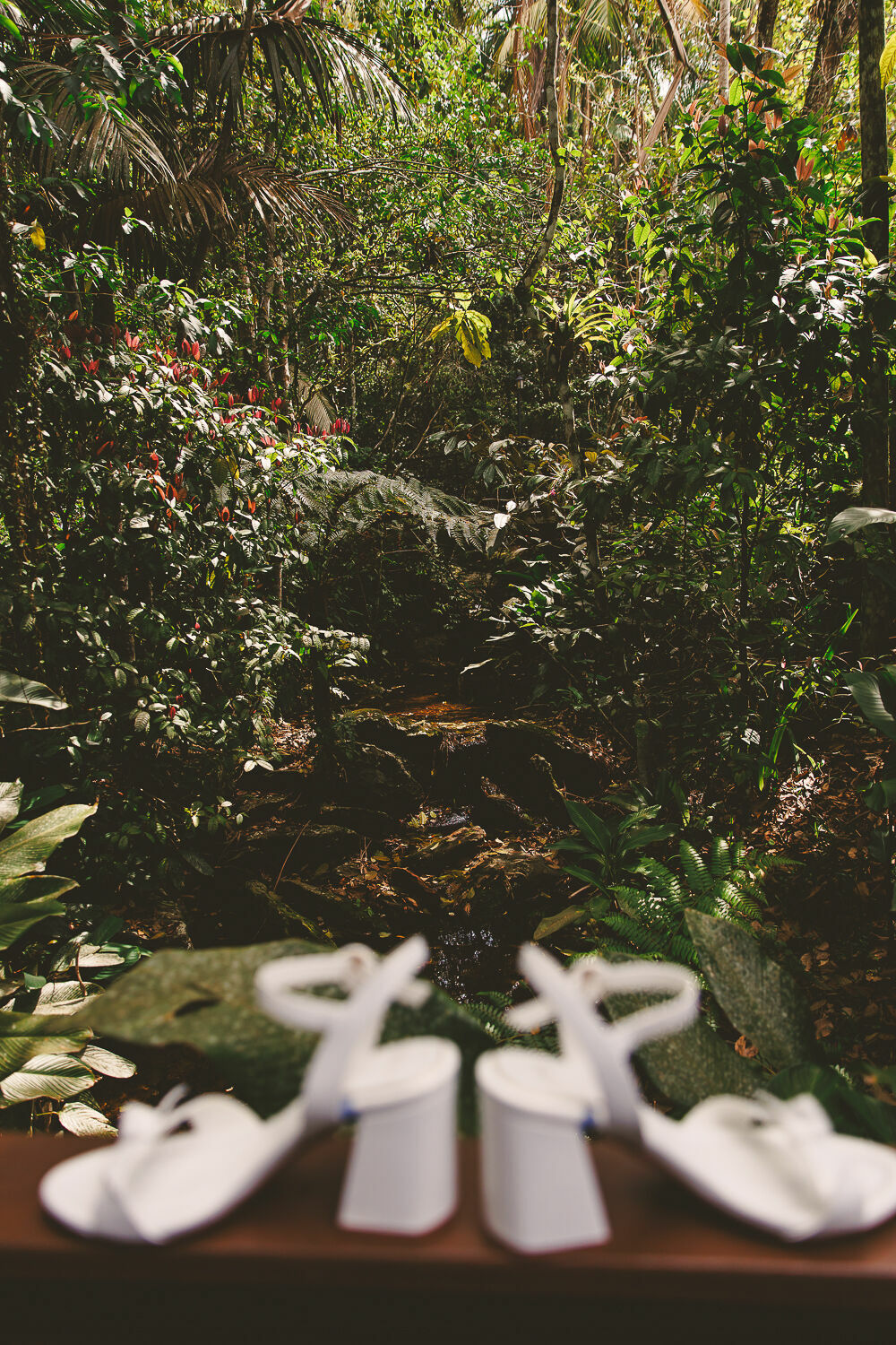 Foto fotografia de casamento Itajai Quinta borba Foto fotografia de casamento Itajai Quinta borba - Imagem 16