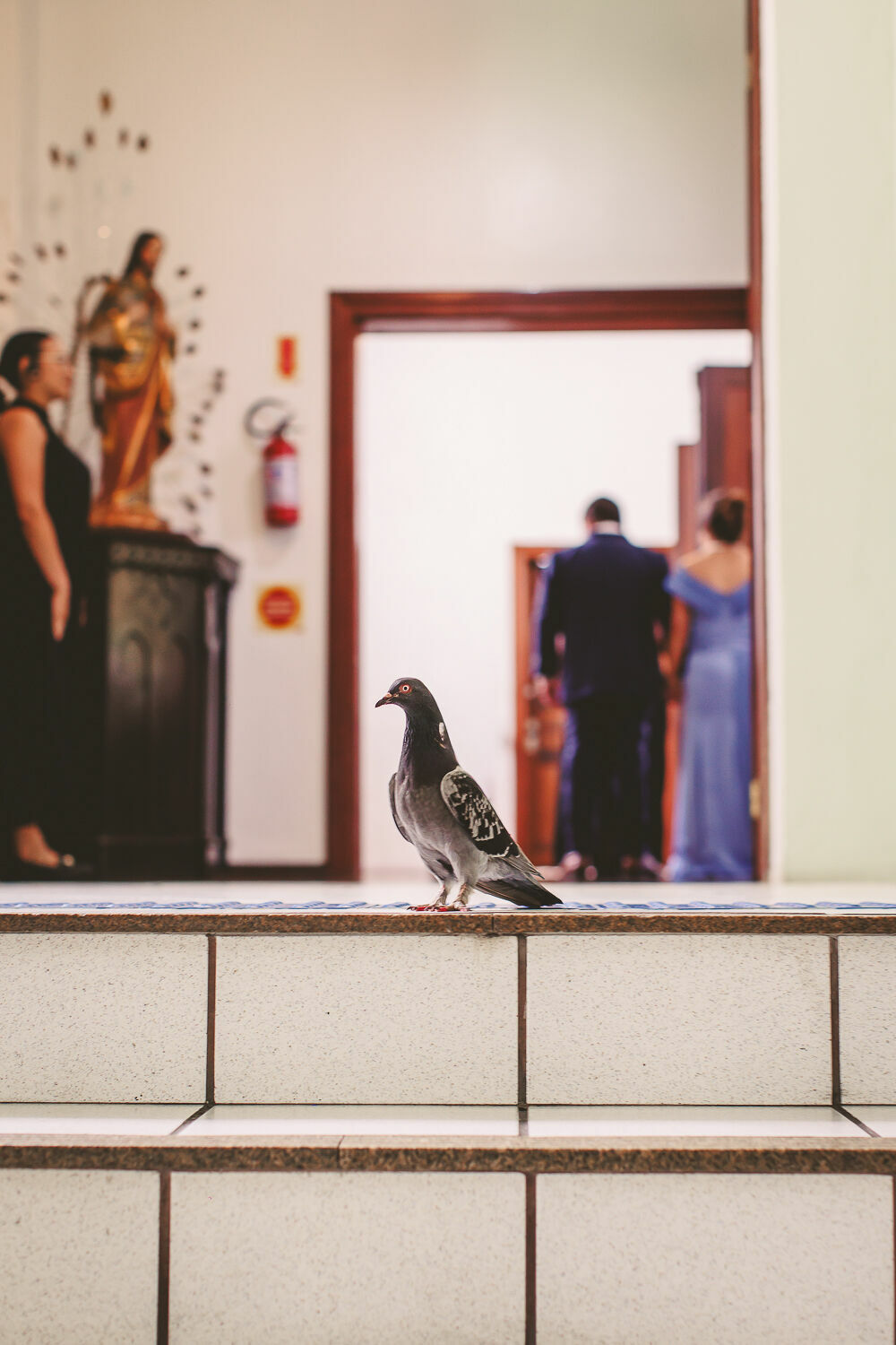 Foto casamento em Florianopolis - Imagem 71