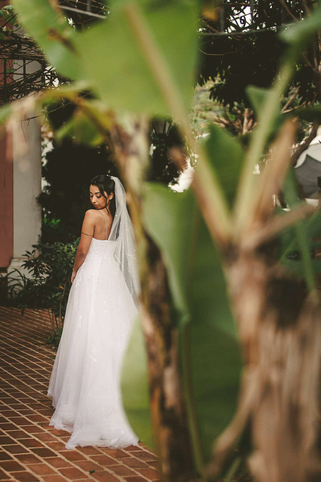 Foto Casamento Panorama Conceição Florianopolis Foto Casamento Panorama Conceição Florianopolis - Imagem 134