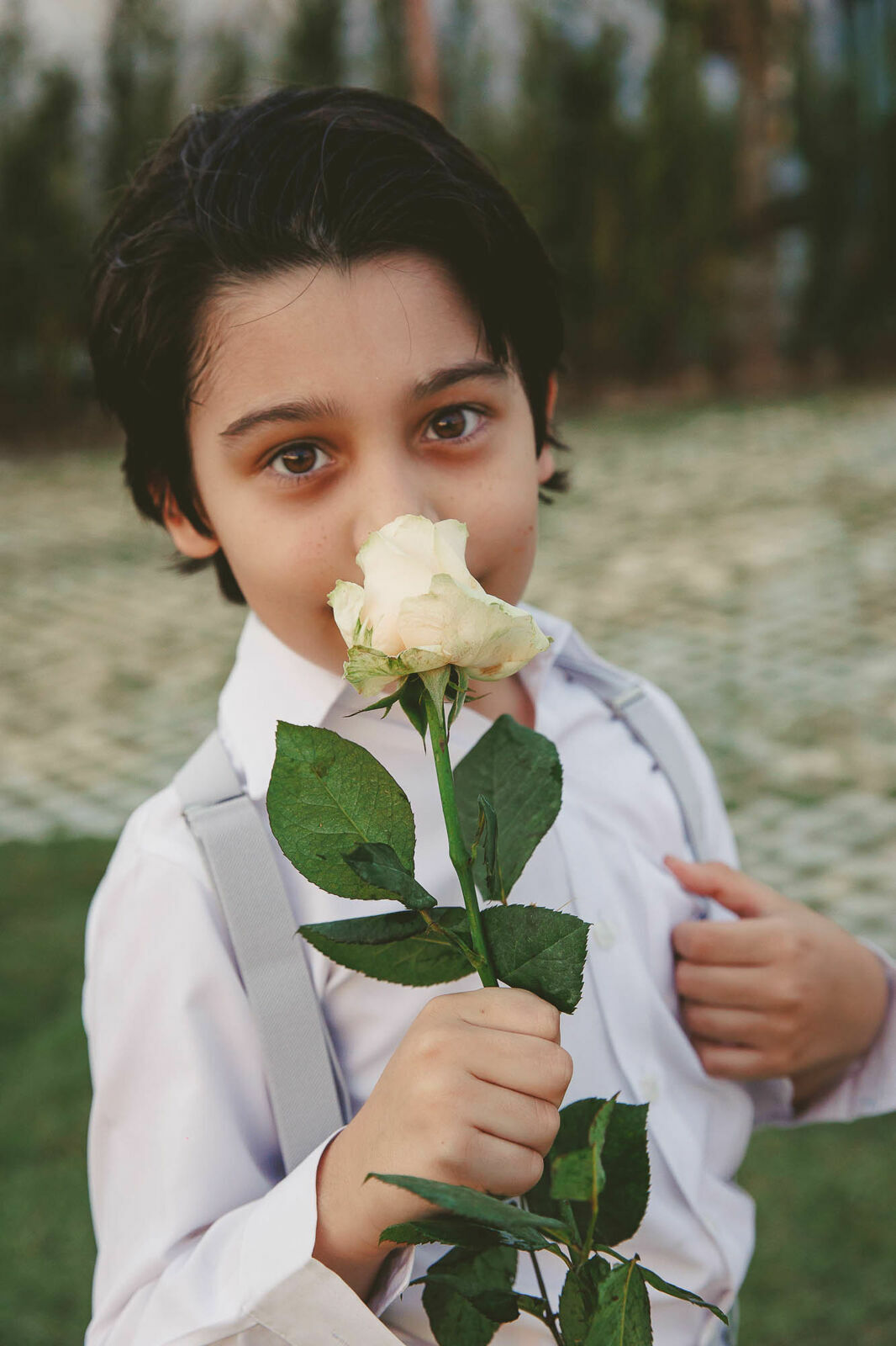 Foto Casamento Panorama Conceição Florianopolis Foto Casamento Panorama Conceição Florianopolis - Imagem 328