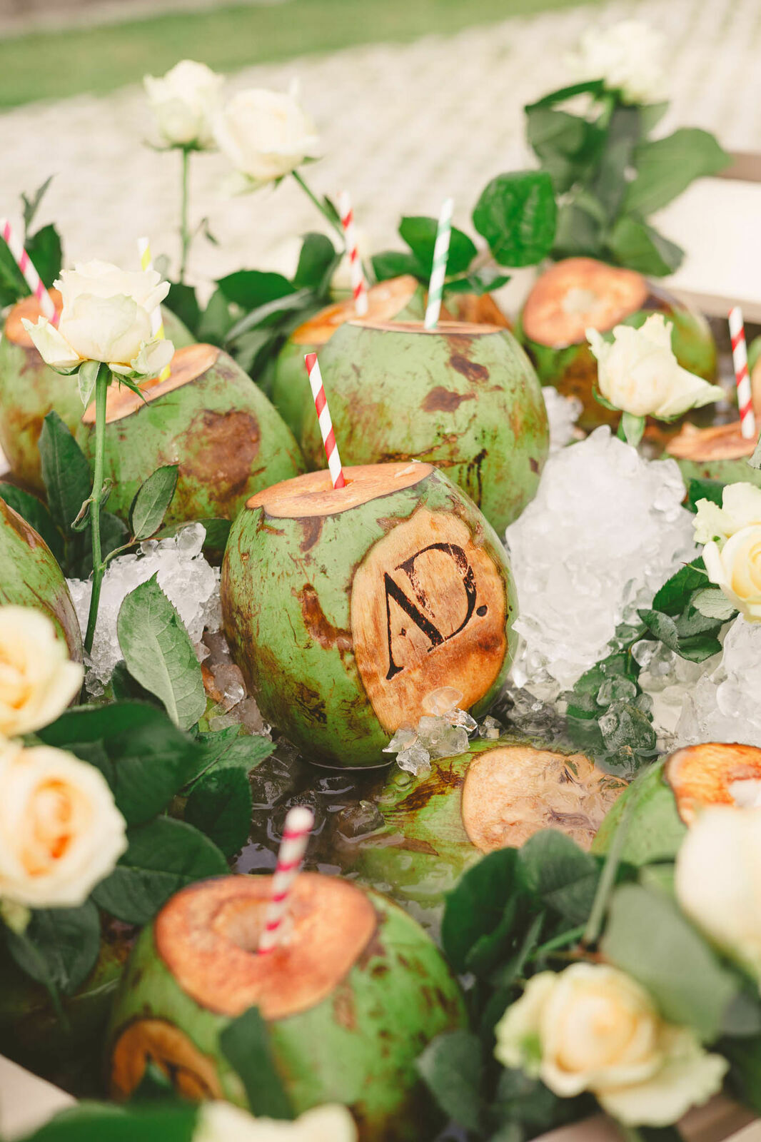 Foto Casamento Panorama Conceição Florianopolis Foto Casamento Panorama Conceição Florianopolis - Imagem 322