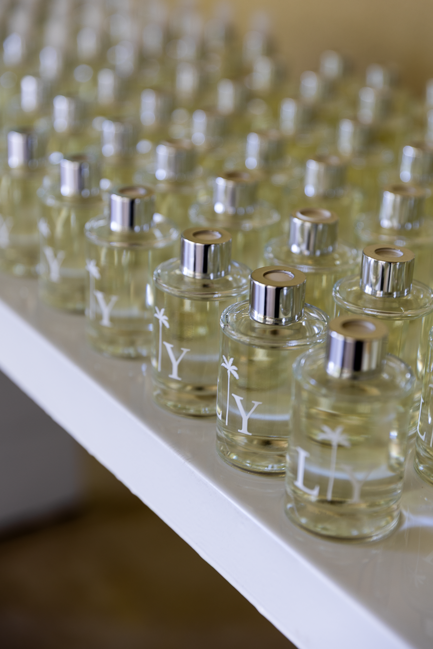 Foto Casamento Luana Zucoloto e Yan Pinheiro- Rio de Janeiro - Imagem 75