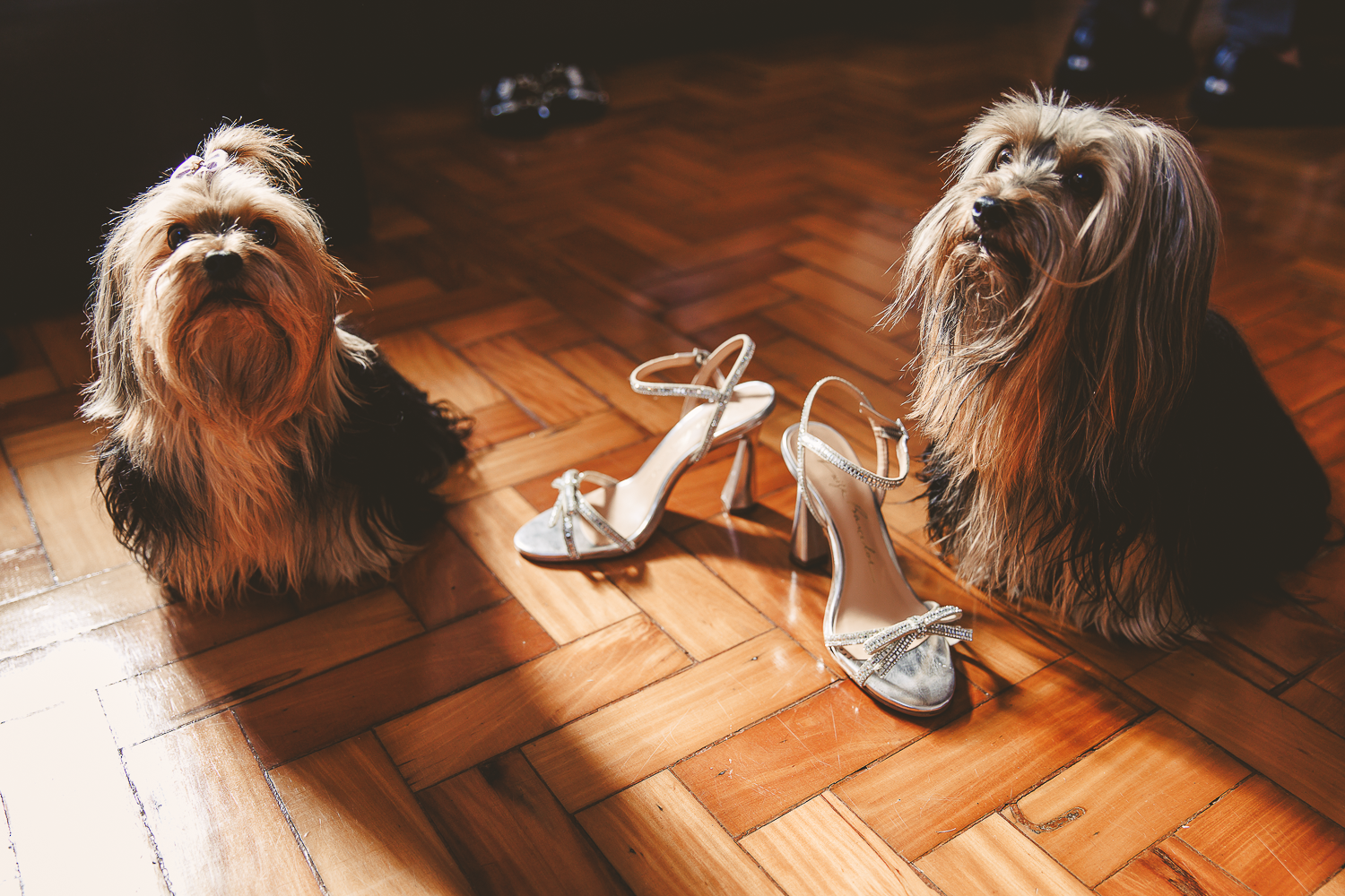 Foto Casamento Minas Gerais - Imagem 7