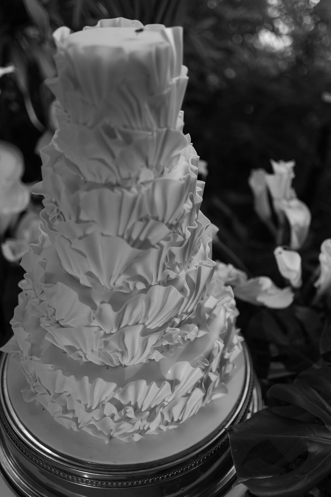 Foto Casamento Awasi Hotel - Regiane e Valter - Imagem 168