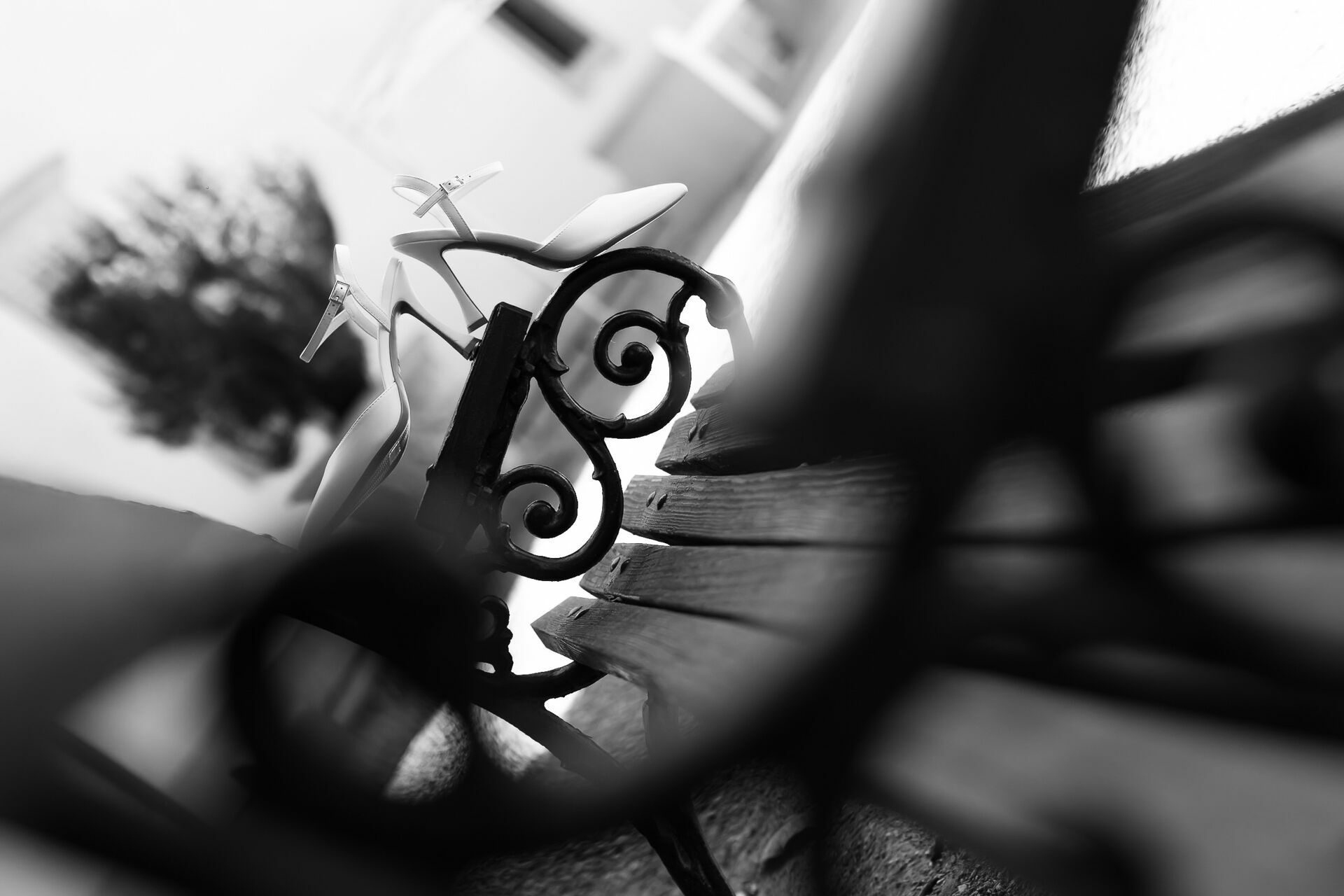Foto Blog - Imagem 12