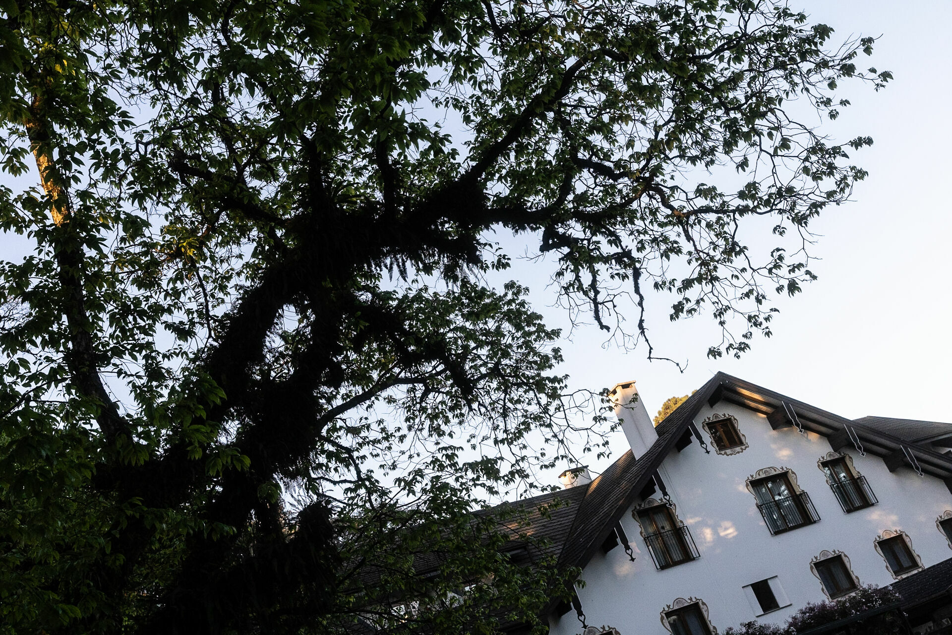 Foto Casamento no Centro de Eventos Ritta Hoppner - Imagem 278