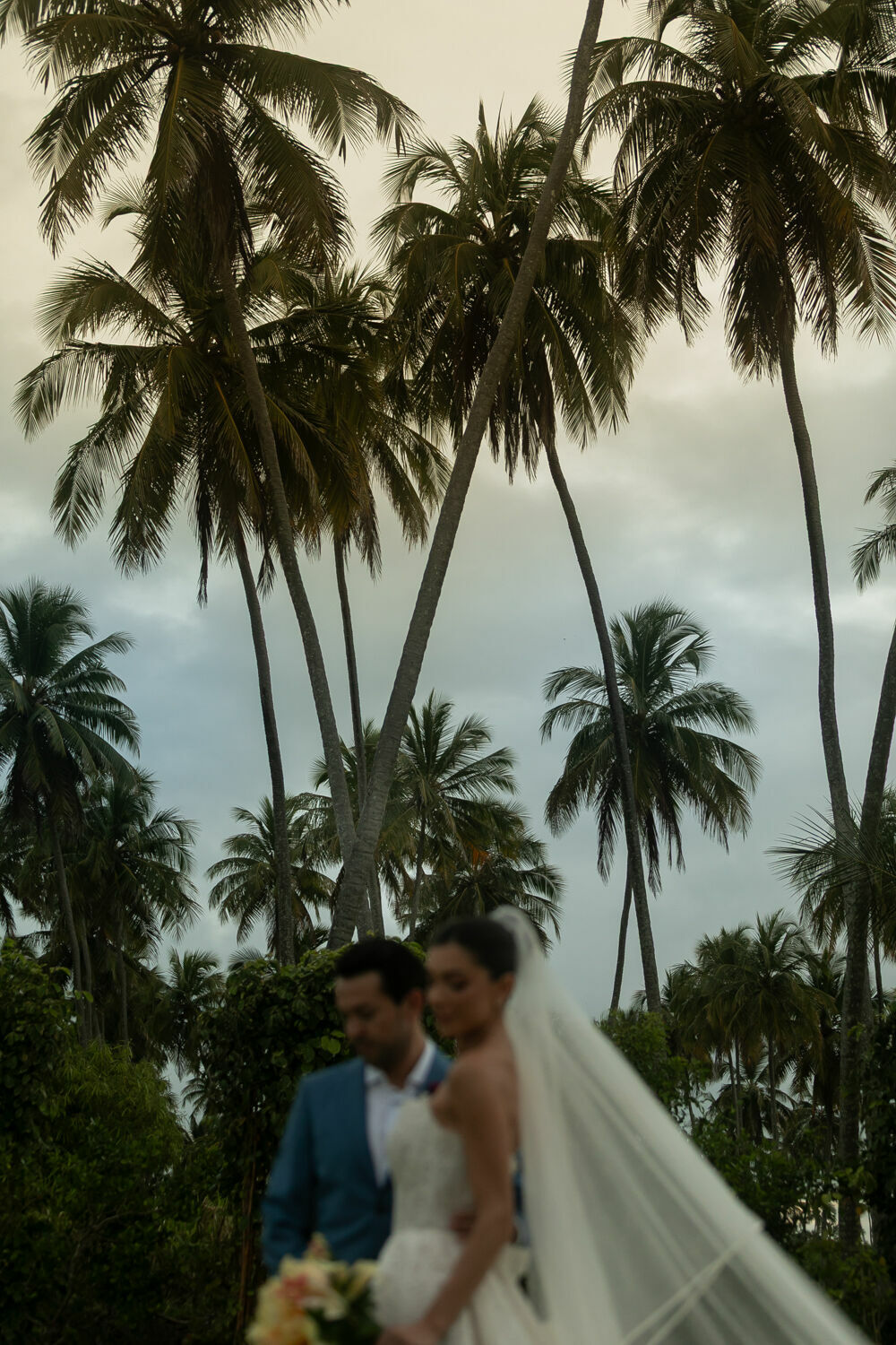 Foto Casamento em São Miguel dos Milagres Raissa e Gu Foto Casamento em São Miguel dos Milagres Raissa e Gu - Imagem 270