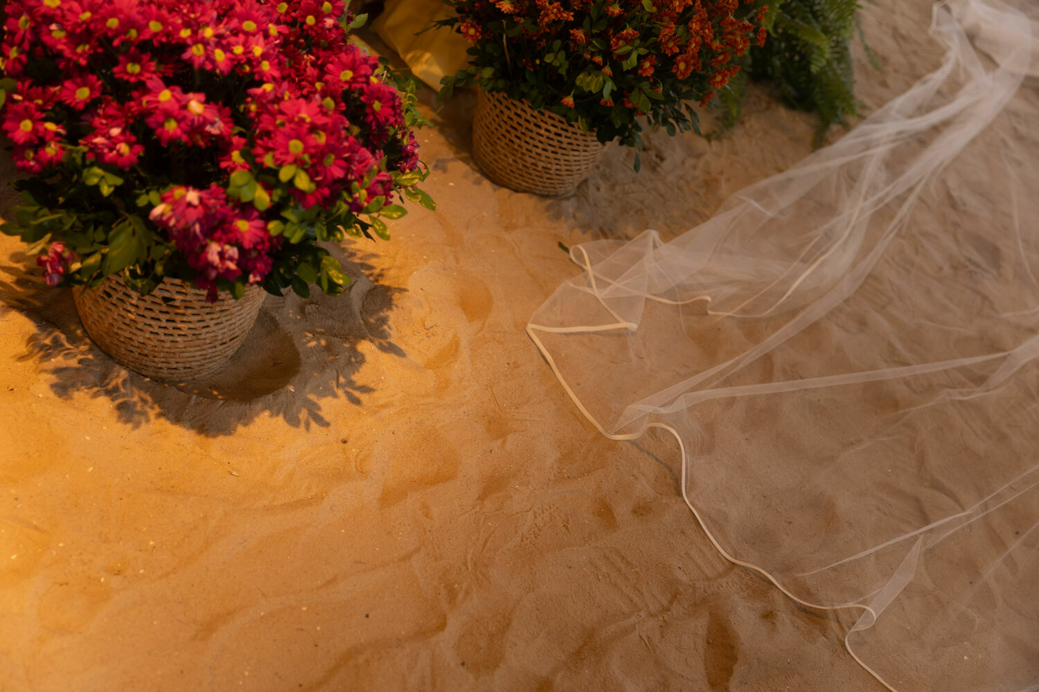 Foto Casamento em São Miguel dos Milagres Raissa e Gu Foto Casamento em São Miguel dos Milagres Raissa e Gu - Imagem 233